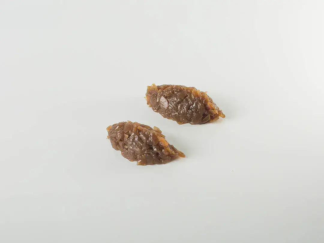 Cebolla Caramelizada Regenerada Cebolla Caramelizada Regenerada
