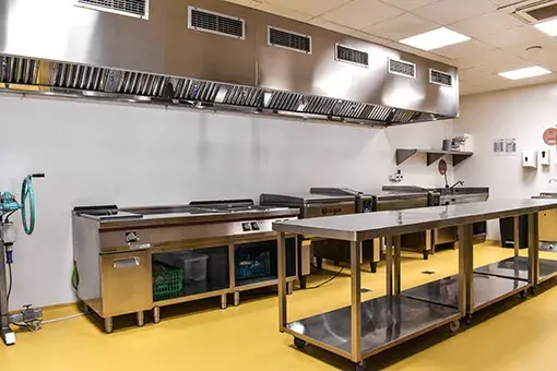 Cocina Natural Xef 2